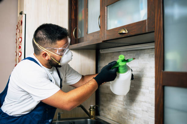 Reliable Arial, SC Pest Control Solutions