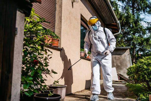 Best Wasp Removal Services  in Arial, SC