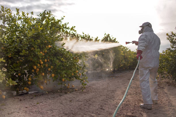 Best Exterminator Services  in Arial, SC