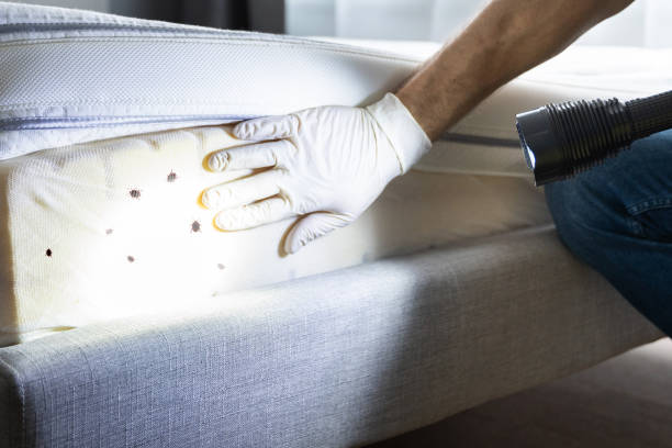 Best Emergency Pest Control  in Arial, SC