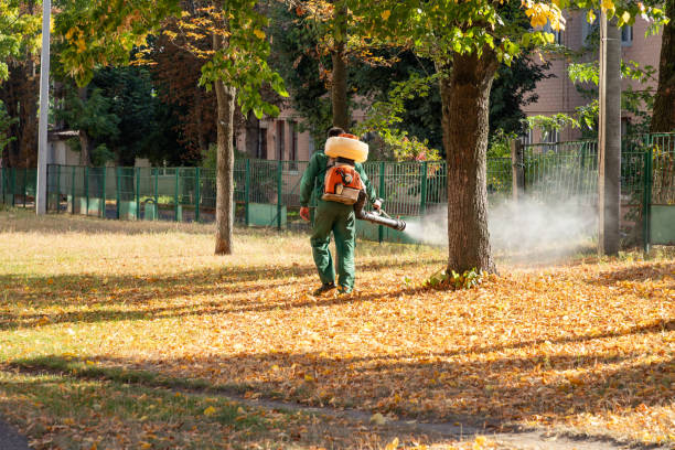 Best Bed Bug Extermination  in Arial, SC