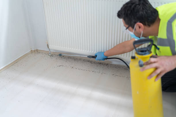 Best Pest Removal Services  in Arial, SC