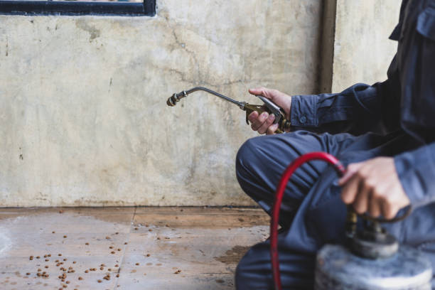 Best Affordable Pest Control Services  in Arial, SC